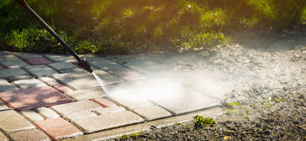 Animal Enclosure Cleaning in Key Vista, FL